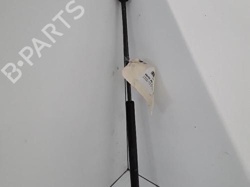 Used Tailgate lift support CITROËN C2 (JM_) 1.4 (73 hp) 30027002