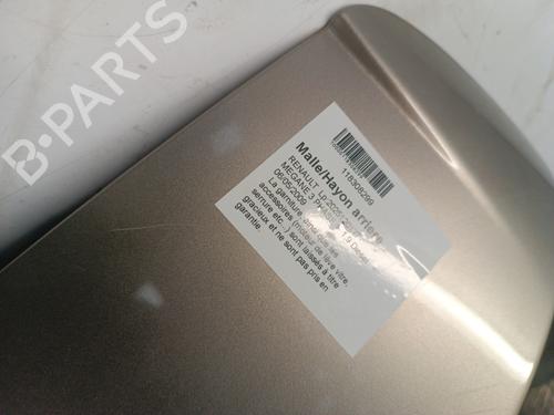 Tailgate RENAULT MEGANE III Hatchback (BZ0/1_, B3_) 1.9 dCi (BZ0N, BZ0J) | BP31095305C6