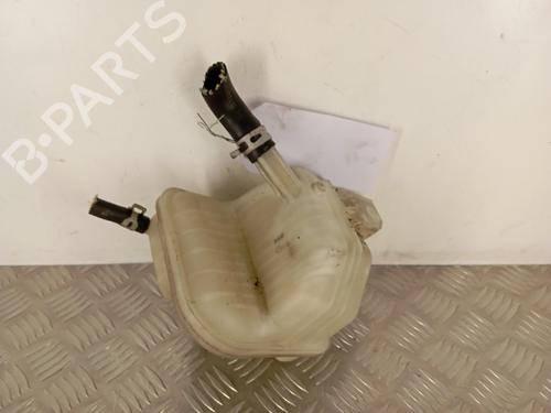 Ekspansjonstank Ekspansjonstank NISSAN QASHQAI I (J10, NJ10) 1.5 dCi (106 hp) 30007906 30007906