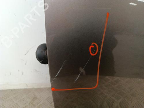 Used Left front door Left front door FIAT BRAVO II (198_) 1.6 D Multijet (198AXL1B) (120 hp) 30013250 30013250