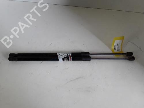 Used Tailgate lift support RENAULT SCÉNIC II (JM0/1_) 1.9 dCi (JM0G, JM12, JM1G, JM2C) (120 hp) 30021914