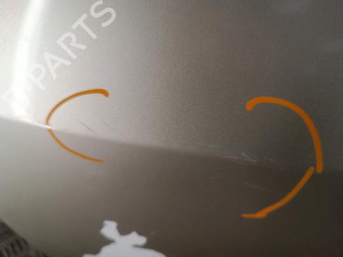 Tailgate RENAULT CLIO III (BR0/1, CR0/1) 1.5 dCi (BR17, CR17) | BP30023053C6 