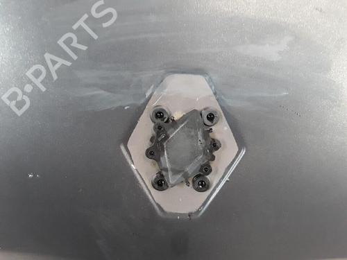 Tailgate RENAULT SCÉNIC II (JM0/1_) 1.5 dCi (JM02, JM13) | BP30016005C6 