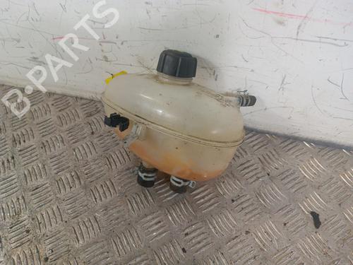 Used Expansion tank RENAULT TWINGO III (BCM_, BCA_) 0.9 TCe 90 (BCM9, BCM2) (90 hp) 30025938