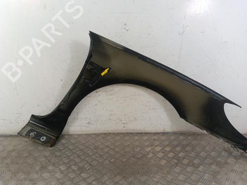 Left front fenders PEUGEOT 407 Coupe (6C_) 2.0 HDi | BP30015036C41 