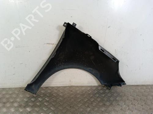 Used Left front fenders RENAULT SCÉNIC III (JZ0/1_) 1.5 dCi (110 hp) 30009589