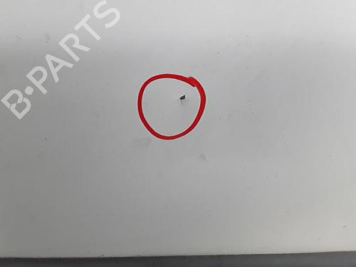 Left front door FIAT DUCATO Van (244_) 2.3 JTD | BP30026862C2