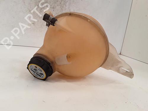 Ekpansionstank FORD TRANSIT V363 Platform/Chassis (FED, FFD) 2.2 TDCi (155 hp) 30026845
