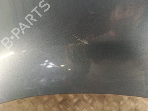 Left front fenders CITROËN C4 Picasso I MPV (UD_) 1.6 HDi | BP30017720C41 