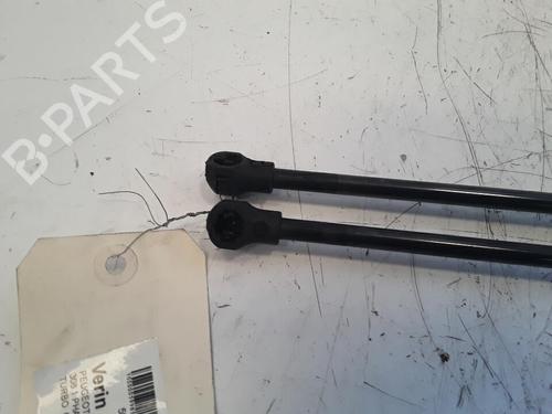 Tailgate lift support PEUGEOT 308 I (4A_, 4C_) 1.6 HDi | BP30016526C138 
