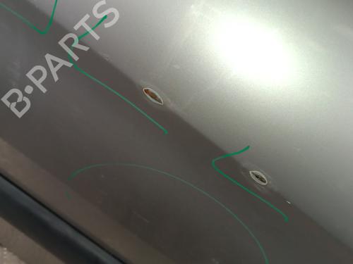 Right front door CITROËN XSARA PICASSO (N68) 2.0 HDi | BP30012790C3