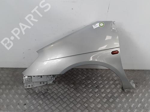 Guarda-lamas esquerdo RENAULT SCÉNIC I MPV (JA0/1_, FA0_) 1.9 dCi (JA05, JA1F) | BP30021080C41 