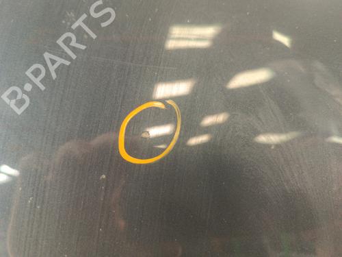 Hood FORD GRAND C-MAX (DXA/CB7, DXA/CEU) 1.6 TDCi | BP30023067C1 