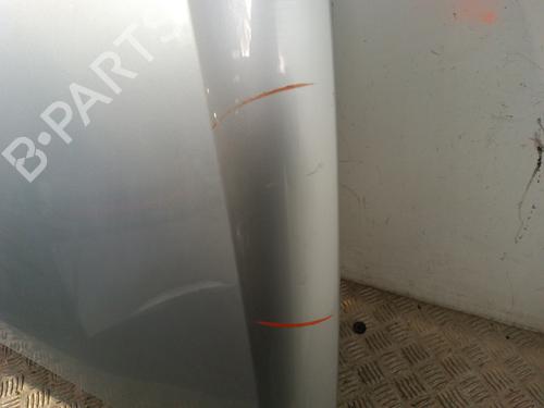 Hood SEAT IBIZA IV (6J5, 6P1) 1.9 TDI | BP30010924C1 