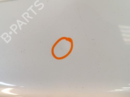 Tailgate NISSAN JUKE (F15) 1.5 dCi | BP30012586C6