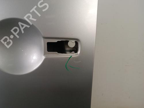 Left front door NISSAN PATHFINDER III (R51) 2.5 dCi 4WD | BP30012840C2