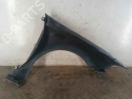 Left front fenders RENAULT LAGUNA II (BG0/1_) 1.9 dCi (BG1A, BG1W, BG0G) | BP30148586C41