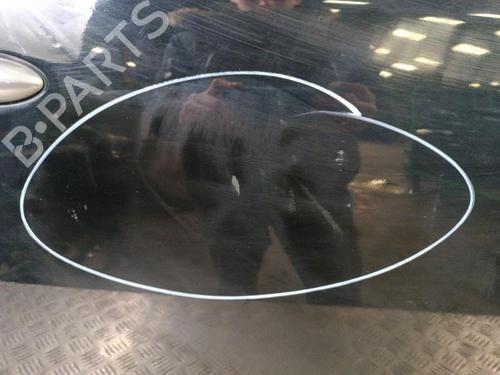 Right front door RENAULT MEGANE III Coupe (DZ0/1_) 2.0 dCi | BP30024431C3