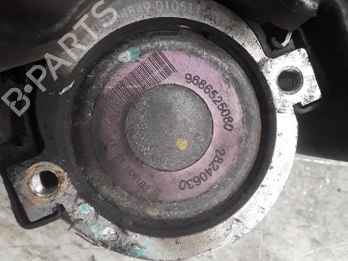 Steering pump PEUGEOT 206+ (2L_, 2M_) 1.1 | BP30011183M99 