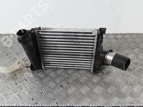 Intercooler RENAULT CLIO IV (BH_) 0.9 TCe 90 (BHNF, BHMA, BHMH, BHJK, BHJR) | BP30015606M30