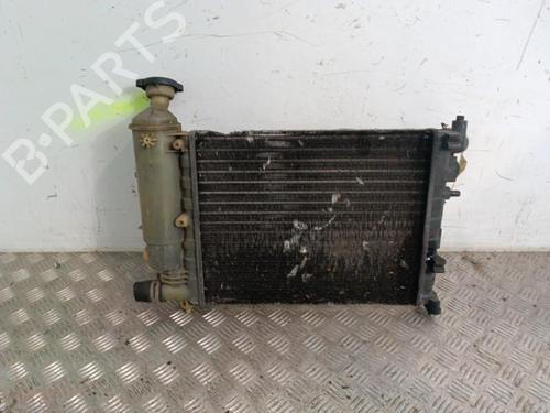 Køleventilator elektrisk PEUGEOT 106 II (1A_, 1C_) 1.4 i | BP30009430M35 