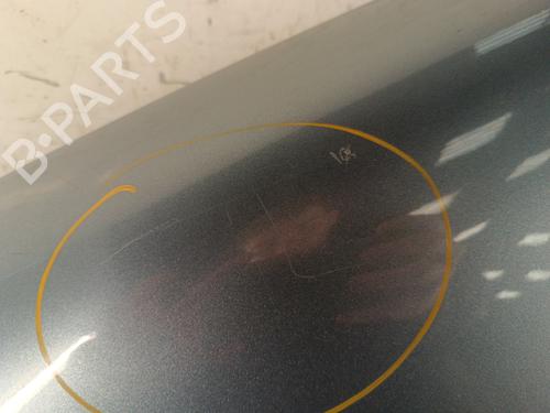 Left front fenders PEUGEOT PARTNER MPV (5_, G_) 1.6 HDi 90 | BP30011933C41 