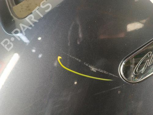 Forskærm venstre FORD FOCUS C-MAX (DM2) 1.8 TDCi | BP30722946C41