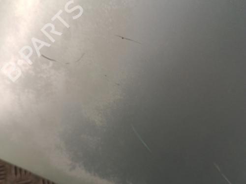 Used Hood Hood 30018259 30018259