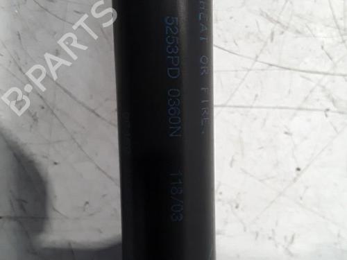 Used Tailgate lift support NISSAN MICRA III (K12) 1.5 dCi (65 hp) 30021701