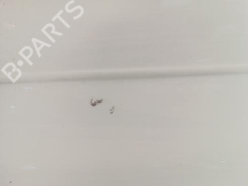 Rear bumper RENAULT CLIO II (BB_, CB_) 1.5 dCi (B/CB07) | BP31172226C8