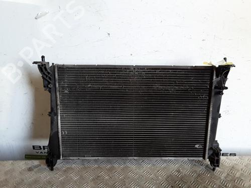 Used Water radiator FIAT PUNTO EVO (199_) 1.3 D Multijet (199AXC1A, 199BXC1A, 199AXT1A, 199BXT1A) (75 hp) 30022097