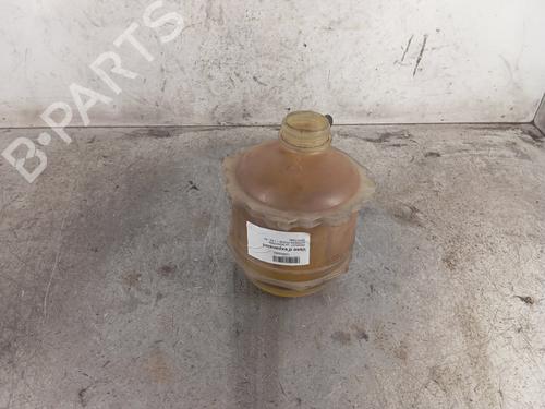 Used Expansion tank RENAULT RAPID Box Body/MPV (F40_, G40_) 1.4 (F40D) (79 hp) 30017135