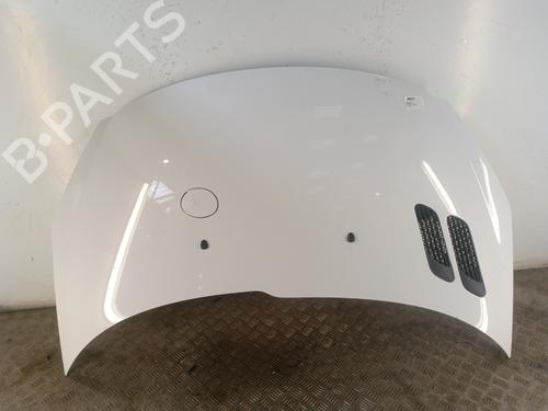 Used Hood PEUGEOT 206+ (2L_, 2M_) 1.4 HDi eco 70 (68 hp) 30014621