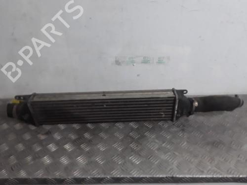 Used Intercooler FIAT DOBLO Cargo (263_) 1.3 D Multijet (90 hp) 30019383
