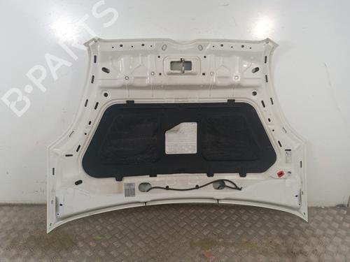 Hood FIAT DOBLO Cargo (263_) 1.3 D Multijet | BP30008650C1