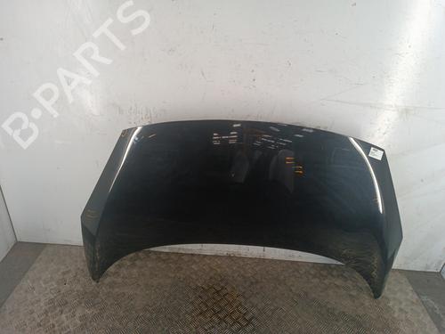 Used Hood RENAULT SCÉNIC III (JZ0/1_) 1.5 dCi (JZ02, JZ0R) (95 hp) 30011449