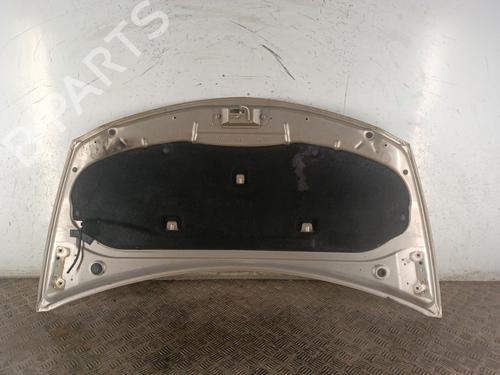 Hood RENAULT CLIO III (BR0/1, CR0/1) 1.5 dCi (BR17, CR17) | BP30011696C1