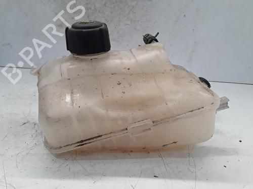 Used Expansion tank RENAULT MEGANE III Hatchback (BZ0/1_, B3_) 1.5 dCi (BZ09, BZ0D, BZ1W, BZ29, BZ14) (110 hp) 30021511