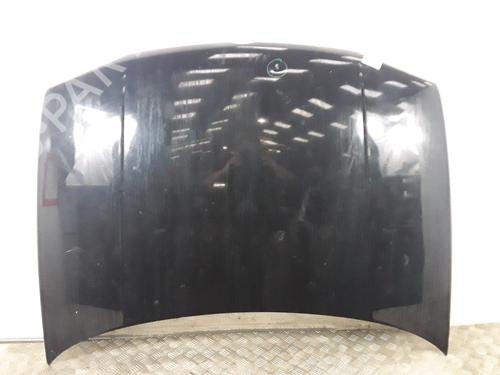 Used Hood VW GOLF IV (1J1) 1.4 16V (75 hp) 30012897