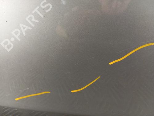 Left front door RENAULT CLIO III (BR0/1, CR0/1) 1.2 16V Hi-Flex (BR1U, CR1U) | BP30007807C2 