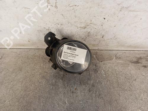 Used Right front fog light RENAULT CLIO II (BB_, CB_) 1.2 (BB0A, BB0F, BB10, BB1K, BB28, BB2D, BB2H, CB0A,... (58 hp) 30010343