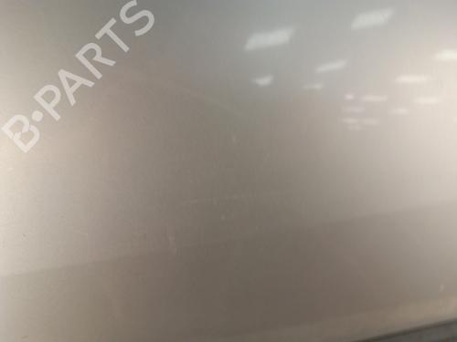 Drzwi przednie lewe RENAULT MEGANE II (BM0/1_, CM0/1_) 1.5 dCi (BM02, BM13, BM2A, CM02, CM13) | BP30008118C2 