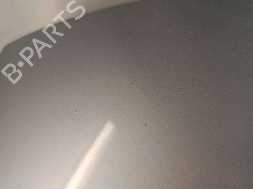 Hood RENAULT SCÉNIC III (JZ0/1_) 1.5 dCi | BP30017190C1 