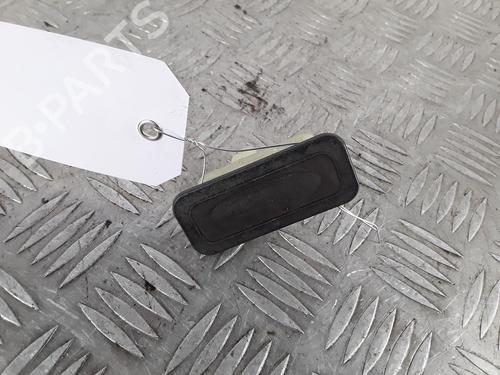 Bagagerumshåndtag RENAULT CLIO III (BR0/1, CR0/1) 1.4 16V (98 hp) 30457589