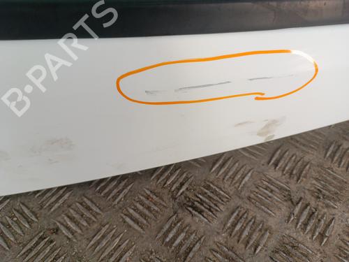 Left front door FIAT DUCATO Van (250_) 150 Multijet 2,3 D | BP30011765C2 