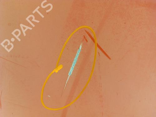 Left tailgate NISSAN PRIMASTAR Van (X83) 2.0 dCi 115 | BP30007696C76