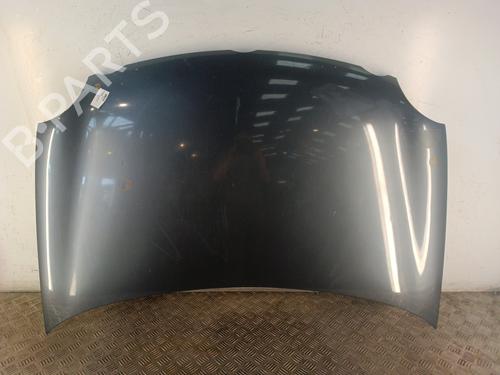 Used Hood VW POLO IV (9N_, 9A_) 1.4 TDI (75 hp) 30018196