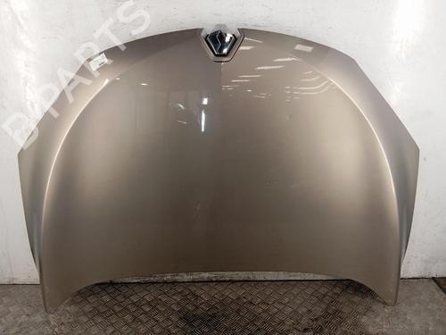 hood-renault-megane-iii-hatchback-bz01_-b3_-2008-39550293 main image
