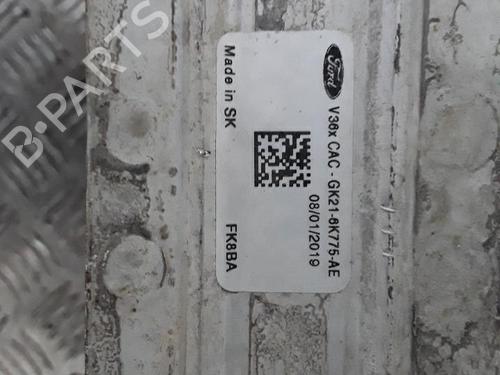 Intercooler FORD TRANSIT V363 Van (FCD, FDD) 2.0 EcoBlue | BP30026404M30 