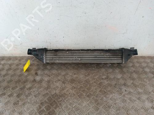 Intercooler FIAT FREEMONT (345_) 2.0 JTD (140 hp) 30009146